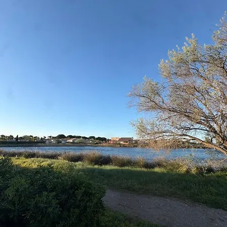 Un Matin Sur L'étang Les Lagunes Du Soleil Gruissan