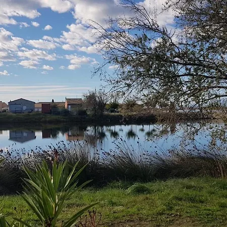 Un Matin Sur L'etang 